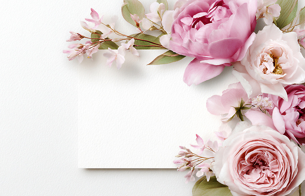 JPG 편집이미지 디자인 꽃 분홍색 자연 장식 흰색 우아함 배열 오브젝트 뷰티풀 생화 플로리스트 이미지편집 AI컴퓨터그래픽 AI콘텐츠 카드프레임 식물 직업 컬러 컨셉 프레임 생태계 파일형식