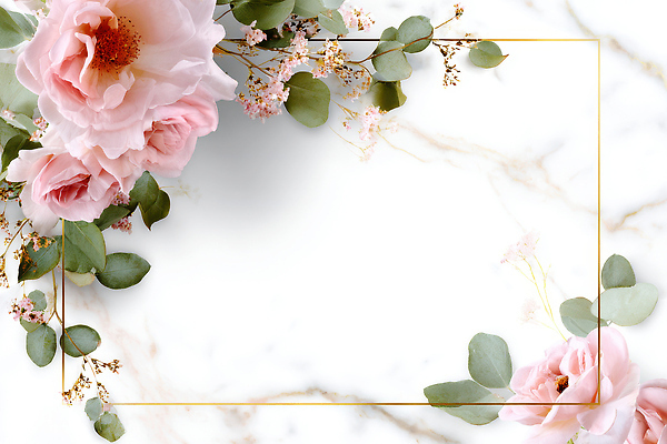 JPG 편집이미지 디자인 꽃 분홍색 백그라운드 잎 자연 생명 장식 초록색 장미 우아함 화사함 뷰티풀 이미지편집 AI컴퓨터그래픽 AI콘텐츠 식물 컬러 컨셉 생태계 파일형식