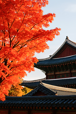 JPG 편집이미지 문화 여행 단풍 자연 한국 햇빛 가을 역사 조경 고풍 뷰티풀 편집실사 AI포토 AI콘텐츠 계절 아시아 잎 태양 CG 생태계 파일형식