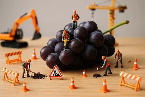 JPG 편집이미지 건축 과일 포도 공사 안전 미니어처 장비 수확 도구 즐거움 기중기 작업자 편집실사 AI컴퓨터그래픽 AI콘텐츠 감정 농업 건설업 모형 중장비 CG 파일형식