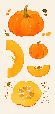 JPG 모양 식물 디자인 예술 컬러 채소 일러스트 자연 호박 수채화 장식 농작물 노란색 주황색 가을 원형 크기 그림 조화 풍요 국내일러스트 AI일러스트 AI콘텐츠 도형 계절 컨셉 농업 생태계 파일형식