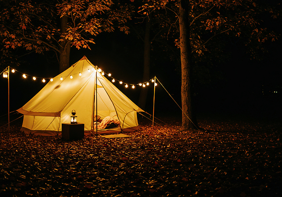 JPG 나무 편집이미지 야경 자연 휴식 조명 텐트 야외 빛 소리 캠핑 가을 분위기 밤 편안함 편집실사 AI포토 AI콘텐츠 식물 계절 컨셉 레저 캠핑도구 견과류 감각 야간 CG 생태계 파일형식 풍경_경치