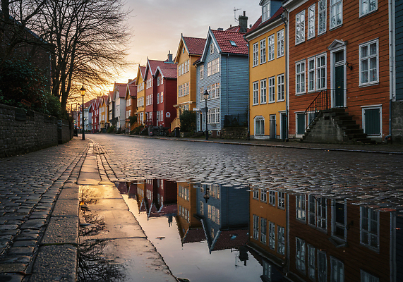 JPG 편집이미지 컬러 자연 거리 주택 풍경 물 햇빛 반사 고요 도시 비 저녁 돌길 뷰티풀 편집실사 AI포토 AI콘텐츠 자연요소 길 날씨 건물 태양 야간 CG 생태계 파일형식
