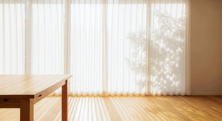 JPG 나무 편집이미지 거실 탁자 바닥 밝음 그림자 일상 인테리어 공간 커튼 편안함 정리 거주 편집실사 AI포토 AI콘텐츠 식물 디자인 가구 라이프 감각 CG 파일형식