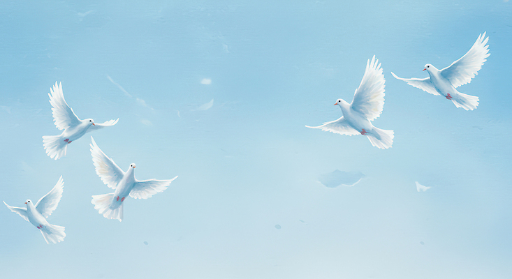 JPG 동물 감정 상징 날개 일러스트 자연 조류 하늘 생명 풍경 공중 햇빛 평화 자유 비행 비둘기 날갯짓 새떼 뷰티풀 국내일러스트 AI일러스트 AI콘텐츠 컨셉 태양 생태계 파일형식