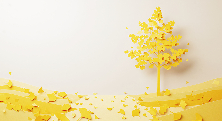 JPG 편집이미지 디자인 컬러 단풍 잎 자연 풍경 장식 전시 가을 창의성 이미지편집 AI포토 AI콘텐츠 식물 계절 생태계 파일형식