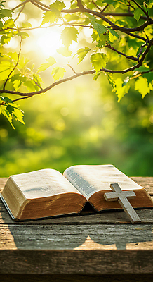 JPG 나무 편집이미지 종교 십자가 자연 초록색 햇빛 평화 성경 고요 기도 나뭇가지 소중 편집실사 AI포토 AI콘텐츠 식물 컬러 컨셉 종교용품 태양 CG 생태계 파일형식