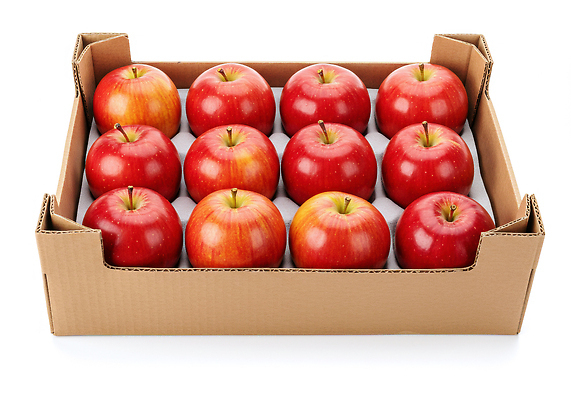 JPG 편집이미지 음식 과일 포장 자연 건강 빨간색 농작물 상자 농장 수확 신선 사과 편집실사 AI포토 AI콘텐츠 영양군 컬러 농업 경상북도 CG 생태계 파일형식