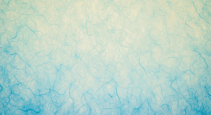 JPG 모양 편집이미지 디자인 예술 줄기 컬러 백그라운드 자연 추상 파란색 분위기 질감 부드러움 창의성 편집실사 AI포토 AI콘텐츠 식물 컨셉 무늬 감각 CG 생태계 파일형식