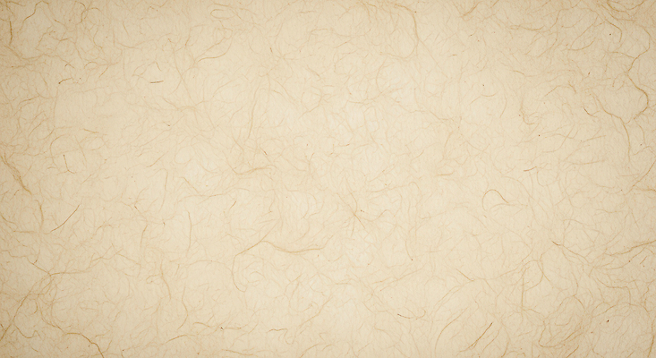 JPG 편집이미지 디자인 예술 컬러 백그라운드 자연 아이디어 따뜻함 흰색 작업 질감 소재 단순화된 창의성 편집실사 AI포토 AI콘텐츠 컨셉 CG 생태계 파일형식