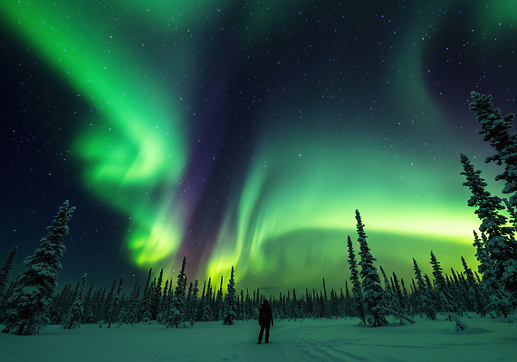 JPG 편집이미지 별 무지개 겨울 자연 하늘 사람 빛 감상 체험 숲 북극 오로라 뷰티풀 편집실사 AI포토 AI콘텐츠 자연요소 계절 컨셉 자연현상 극지방 CG 생태계 파일형식