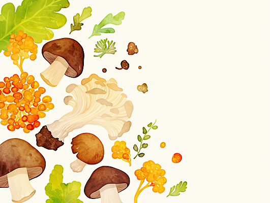 JPG 채소 일러스트 식재료 자연 건강 요리 농사 식사 버섯 수확 신선 맛 배열 유기농 원예 조화 건강식 먹거리 색감 비건 국내일러스트 AI일러스트 AI콘텐츠 웰빙 음식 컨셉 농업 취미 생태계 채식주의자 파일형식