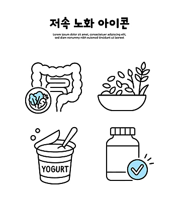 아이콘 라이프스타일 웰빙 채소 건강 식이요법 허브 레시피 비타민 요거트 노화 2D아이콘 슬로우에이징 AI파일 영양군 식물 컨셉 유제품 생활 경상북도 영양소 파일형식 벡터