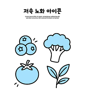 아이콘 디자인 음식 컬러 토마토 채소 과일 자연 건강 브로콜리 블루베리 건강식 식생활 2D아이콘 슬로우에이징 AI파일 영양군 경상북도 생태계 파일형식 벡터