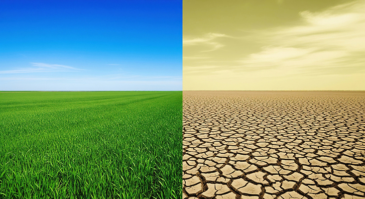 JPG 편집이미지 농업 자연 초원 초록색 환경 비교 균열 생태계 가뭄 사막화 기후변화 수자원 청정 황토 이미지편집 AI컴퓨터그래픽 AI콘텐츠 산업 컬러 컨셉 모션 날씨 흙 변화 지구온난화 파일형식
