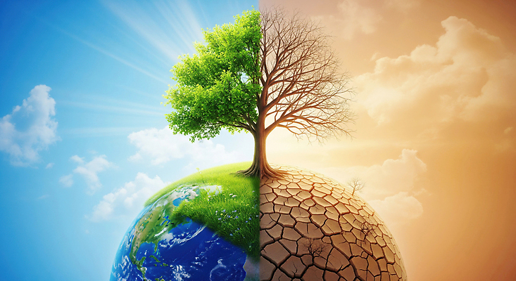 JPG 나무 편집이미지 지구 자연 생명 날씨 건강 파란색 환경 비교 변화 생태계 가뭄 뷰티풀 위기 이미지편집 AI컴퓨터그래픽 AI콘텐츠 식물 컬러 컨셉 파일형식