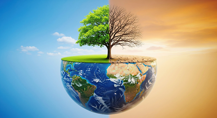 JPG 나무 편집이미지 지구 자연 하늘 날씨 건조 사람 환경 비교 변화 생태계 가뭄 지구온난화 이미지편집 AI컴퓨터그래픽 AI콘텐츠 식물 컨셉 기후변화 파일형식