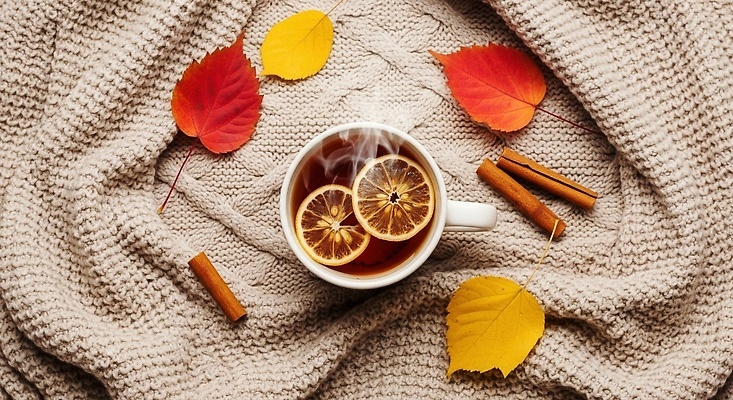 JPG 편집이미지 음료 단풍 겨울 자연 따뜻함 컵 가을 차 편안함 담요 레몬 허브 향기 시나몬 온기 편집실사 AI포토 AI콘텐츠 식물 식기 계절 잎 과일 감각 CG 생태계 냄새 파일형식