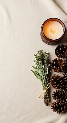 JPG 식물 편집이미지 라이프스타일 여유 촛불 자연 탁자 가지 장식 인테리어 소나무 편안함 향기 조화 편집실사 AI포토 AI콘텐츠 나무 디자인 감정 가구 채소 초 생활 감각 CG 생태계 냄새 파일형식