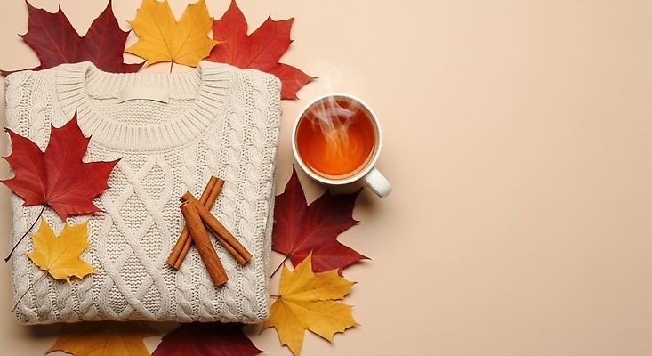 JPG 편집이미지 디자인 커피 컬러 단풍 잎 자연 따뜻함 인테리어 가을 차 편안함 스웨터 오브젝트 시나몬 편집실사 AI포토 AI콘텐츠 식물 계절 음료 상의 감각 CG 생태계 파일형식