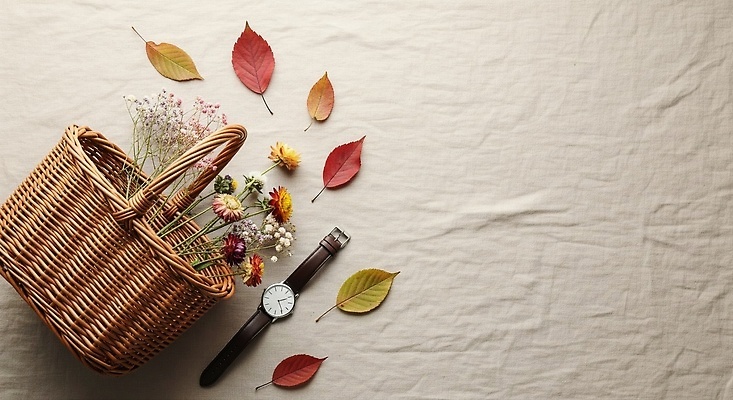 JPG 식물 편집이미지 꽃 시계 단풍 자연 탁자 생활 장식 바구니 정원 가을 분위기 배열 오브젝트 뷰티풀 편집실사 AI포토 AI콘텐츠 계절 가구 컨셉 잎 CG 생태계 파일형식