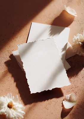 JPG 편집이미지 디자인 꽃잎 탁자 고요 공간 편안함 조화 담백한맛 상상력 스타일 편집실사 AI포토 AI콘텐츠 꽃 가구 감각 맛 CG 파일형식