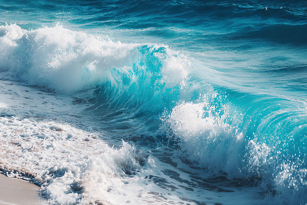 JPG 편집이미지 물결 모래 파도 바다 자연 해변 여름 파란색 햇빛 평화 해조류 수분_꽃가루 편집실사 AI포토 AI콘텐츠 계절 컬러 컨셉 태양 해양식물 CG 생태계 파일형식