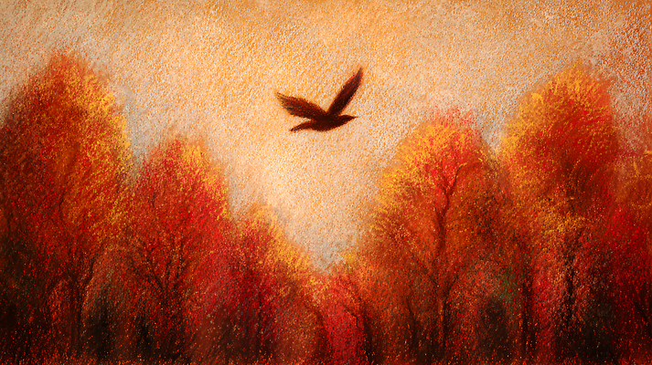 JPG 나무 동물 예술 컬러 하늘색 단풍 일러스트 자연 조류 하늘 색연필 풍경 사각형 고요 가을 저녁 이미지 조화 뷰티풀 풍경화 국내일러스트 AI일러스트 AI콘텐츠 도형 식물 계절 잎 학용품 파란색 야간 그림 생태계 파일형식