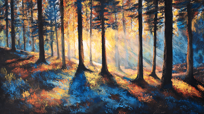 JPG 나무 일러스트 자연 하늘 아침 나뭇잎 그림자 풍경 여름 빛 햇빛 태양 평화 고요 숲 조화 색채 국내일러스트 AI일러스트 AI콘텐츠 주간 자연요소 식물 계절 컨셉 잎 생태계 파일형식