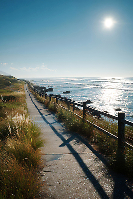 JPG 식물 구름 편집이미지 바다 자연 바람 풍경 초원 해변 여름 햇빛 평화 산책로 편집실사 AI포토 AI콘텐츠 자연요소 계절 길 컨셉 날씨 태양 CG 생태계 파일형식