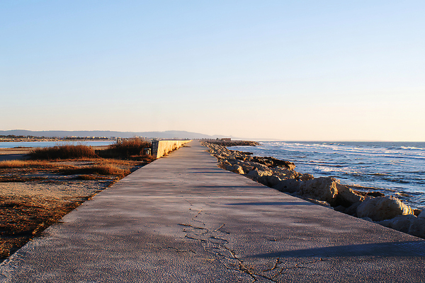 JPG 편집이미지 여유 바다 여행 자연 갈매기 하늘 바람 풍경 해변 햇빛 평화 일몰 산책로 수평선 편집실사 AI포토 AI콘텐츠 자연요소 감정 길 컨셉 조류 날씨 태양 노을 CG 생태계 파일형식