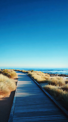 JPG 나무 편집이미지 바다 자연 하늘 바람 풍경 잔디 해변 여름 평화 산책로 보행로 수평선 편집실사 AI포토 AI콘텐츠 자연요소 식물 계절 길 컨셉 날씨 CG 생태계 파일형식