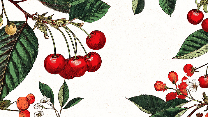 JPG 나무 식물 열매 꽃 컬러 백그라운드 잎 농업 과일 일러스트 자연 아이디어 풍경 장식 여름 보트 체리 과수원 원예 조화 국내일러스트 AI일러스트 AI콘텐츠 계절 산업 컨셉 배_교통 취미 생태계 파일형식