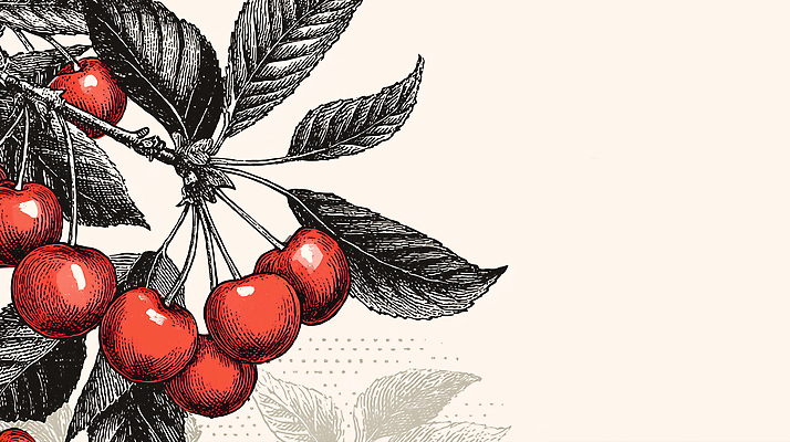 JPG 나무 식물 열매 잎 과일 일러스트 자연 건강 풍경 빨간색 여름 농작물 농장 식사 수확 체리 맛 유기농 비타민 국내일러스트 AI일러스트 AI콘텐츠 웰빙 계절 컬러 컨셉 농업 생태계 영양소 파일형식