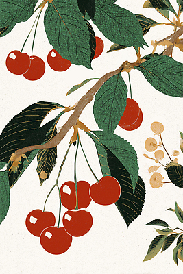 JPG 식물 디자인 열매 꽃 컬러 잎 농업 일러스트 자연 생명 미술 풍경 여름 농작물 나뭇가지 체리 생태 원예 조화 국내일러스트 AI일러스트 AI콘텐츠 나무 계절 산업 과일 문화예술 취미 생태계 파일형식