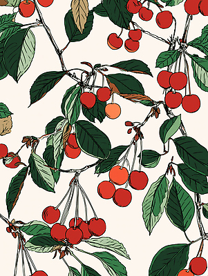 JPG 식물 열매 컬러 잎 과일 일러스트 자연 생명 가지 건강 미술 여름 농작물 정원 농사 수확 체리 과수원 유기농 국내일러스트 AI일러스트 AI콘텐츠 웰빙 계절 농업 채소 문화예술 생태계 파일형식