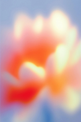 JPG 디자인 꽃 감정 예술 컬러 백그라운드 일러스트 자연 생명 추상 형상 부드러움 화사함 조화 흐림 뷰티풀 색감 창의성 국내일러스트 AI일러스트 AI콘텐츠 식물 컨셉 무늬 날씨 감각 생태계 파일형식