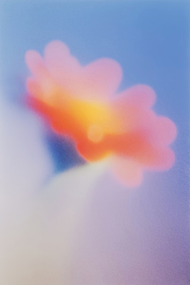 JPG 식물 꽃 예술 분홍색 컬러 백그라운드 일러스트 자연 생명 빛 햇빛 감각 향기 부드러움 화사함 감성 조화 뷰티풀 순간 창의성 국내일러스트 AI일러스트 AI콘텐츠 컨셉 태양 생태계 냄새 파일형식