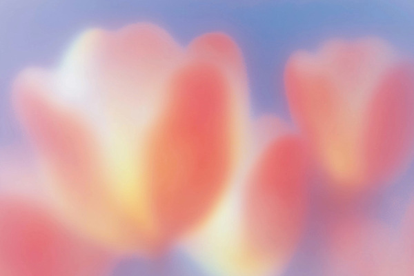 JPG 식물 꽃 화초 컬러 백그라운드 일러스트 자연 생명 풍경 햇빛 봄 감각 부드러움 화사함 조화 뷰티풀 국내일러스트 AI일러스트 AI콘텐츠 계절 컨셉 태양 생태계 파일형식