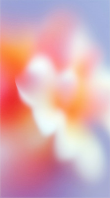 JPG 식물 디자인 사계절 꽃 감정 예술 컬러 백그라운드 일러스트 자연 봄 관찰 감각 부드러움 조화 뷰티풀 색감 생동감 국내일러스트 AI일러스트 AI콘텐츠 계절 모션 생태계 파일형식