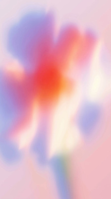 JPG 식물 꽃 감정 컬러 백그라운드 일러스트 자연 생명 정원 봄 표현 감각 그림 장면 부드러움 그라데이션 조화 뷰티풀 국내일러스트 AI일러스트 AI콘텐츠 계절 생태계 파일형식