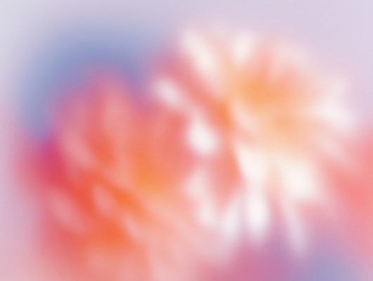 JPG 식물 꽃 컬러 백그라운드 일러스트 자연 생명 연꽃 촬영 봄 화사함 감성 조화 봄내음 뷰티풀 색감 설렘 순간 차분 국내일러스트 AI일러스트 AI콘텐츠 계절 컨셉 생태계 파일형식