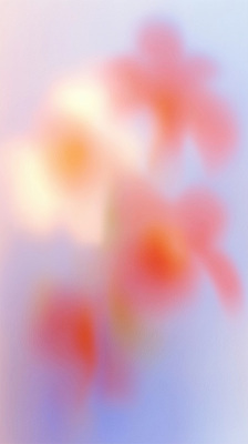 JPG 식물 꽃 예술 컬러 백그라운드 일러스트 자연 생명 여름 햇빛 정원 분위기 우아함 부드러움 화사함 조화 흐림 뷰티풀 색감 국내일러스트 AI일러스트 AI콘텐츠 계절 컨셉 날씨 태양 감각 생태계 파일형식