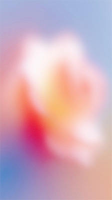 JPG 식물 디자인 시선 꽃 예술 백그라운드 일러스트 자연 생명 풍경 평화 이미지 부드러움 화사함 뷰티풀 색감 순간 국내일러스트 AI일러스트 AI콘텐츠 컨셉 감각 생태계 파일형식