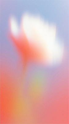 JPG 디자인 꽃 예술 컬러 백그라운드 일러스트 자연 추상 따뜻함 디지털 표현 캔버스 장면 부드러움 화사함 감성 조화 흐림 뷰티풀 국내일러스트 AI일러스트 AI콘텐츠 식물 컨셉 무늬 날씨 감각 생태계 파일형식