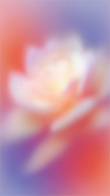 JPG 식물 꽃 문화 화초 백그라운드 일러스트 자연 생명 아침 미소 풍경 여름 소중 연습 화사함 감성 조화 뷰티풀 색감 차분 국내일러스트 AI일러스트 AI콘텐츠 주간 계절 컨셉 표정 생태계 파일형식