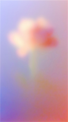 JPG 디자인 꽃 감정 예술 컬러 백그라운드 일러스트 자연 추상 표현 분위기 편안함 작품 부드러움 화사함 흐림 뷰티풀 색채 국내일러스트 AI일러스트 AI콘텐츠 식물 컨셉 무늬 날씨 미술 감각 생태계 파일형식