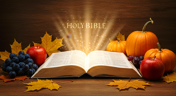 JPG 편집이미지 열매 종교 자연 호박 포도 나뭇잎 풍경 책 빛 성경 가을 기도 사과 영감 이미지편집 AI컴퓨터그래픽 AI콘텐츠 식물 계절 잎 채소 과일 종교용품 생태계 파일형식