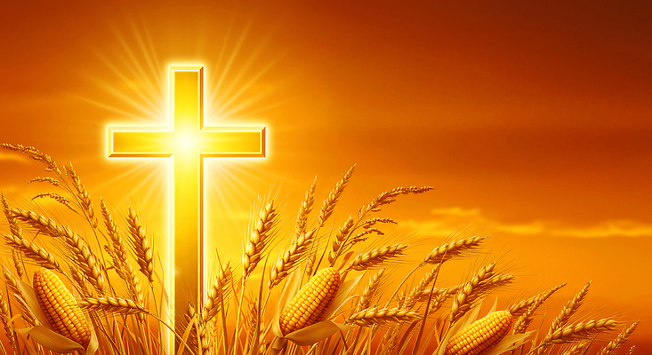 JPG 식물 편집이미지 종교 상징 십자가 자연 하늘 곡류 풍경 농장 평화 고요 일몰 이미지편집 AI컴퓨터그래픽 AI콘텐츠 컨셉 농업 노을 생태계 파일형식