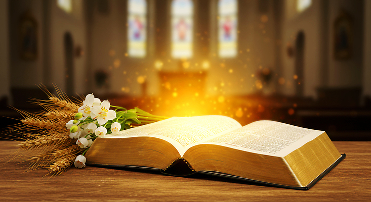 JPG 편집이미지 꽃 종교 자연 평화 성경 공간 의식 밀 성전 예배 신성 조화 뷰티풀 이미지편집 AI컴퓨터그래픽 AI콘텐츠 식물 컨셉 종교용품 곡류 생태계 파일형식